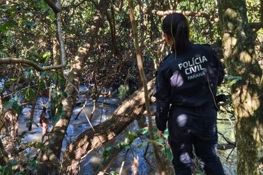 Pol&iacute;cia indicia investigado por matar Eul&aacute;lia Pinheiro em Nova Londrina