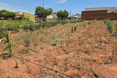 Terreno &agrave; venda - Alto da Gloria