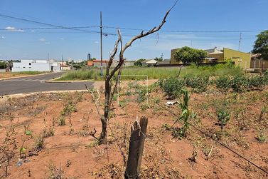 Terreno &agrave; venda - Alto da Gloria