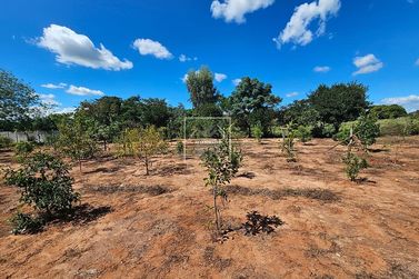 Ch&aacute;cara &agrave; venda - Vila Rural