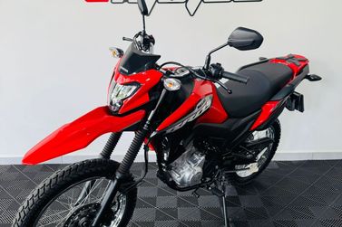 HONDA NXR