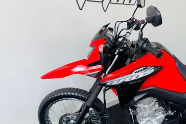 HONDA NXR