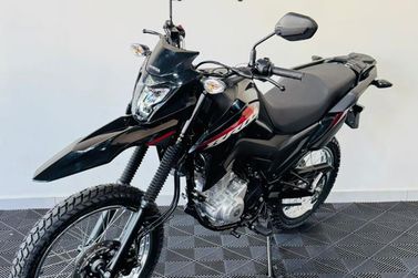 HONDA NXR