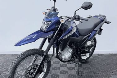 HONDA NXR