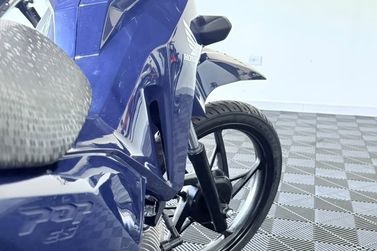 HONDA POP