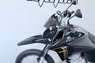 HONDA NXR