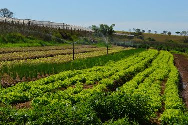 Prefeitura em parceria com o Senar apresenta o Programa Olericultura Orgânica