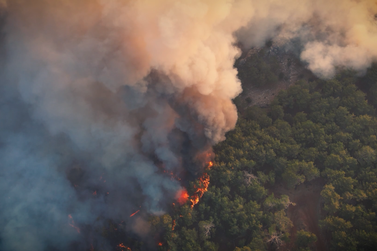 90% dos incêndios florestais em São Paulo são ocasionados por ações humanas