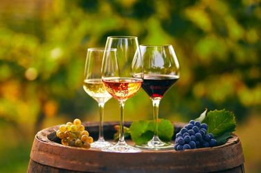 Louveira recebe 8&ordm; Encontro Enoconex&atilde;o com foco em vinhos e enoturismo