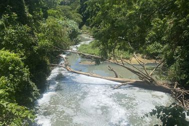 Louveira sedia encontro sobre educa&ccedil;&atilde;o ambiental e uso consciente da &aacute;gua