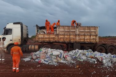 Indea-MT apreende carga irregular de 26 toneladas e destrói material