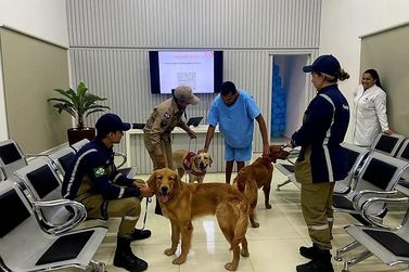 Pacientes do Hospital Regional de Sorriso tem acesso ao projeto "Pet Terapia"