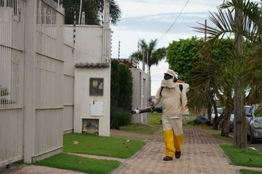Prefeitura alerta a população sobre os cuidados para combater a Dengue