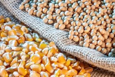 Brasil amplia domínio sobre EUA como principal fornecedor de milho e soja 