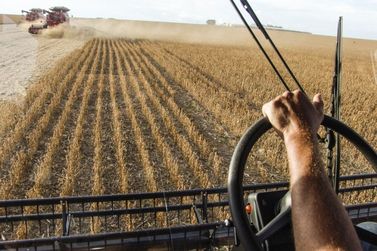 Colheita de soja chega a 74% da área no Brasil