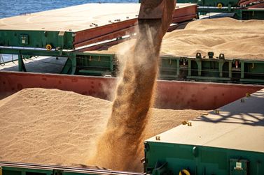 Exportação de soja deve cair 24% em abril