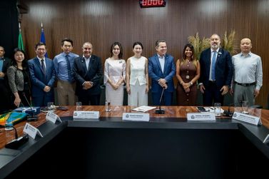 Chineses analisam portf&oacute;lio de investimentos em Mato Grosso