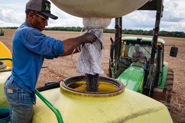 Agropecu&aacute;ria gera mais de 10 mil empregos em Mato Grosso