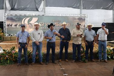 Leil&atilde;o de cavalos apresenta mais de 30 lotes no Show Safra Mato Grosso 2026