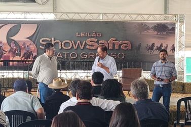 Pecu&aacute;ria e Lavoura: As oportunidades de integra&ccedil;&atilde;o entre as duas culturas
