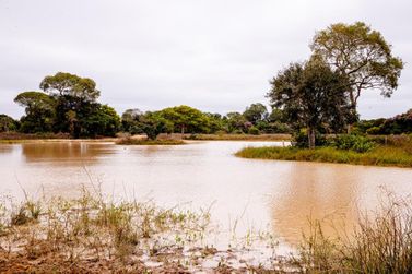 Defeso da Piracema em MT vai de outubro de 2026 a janeiro de 2027