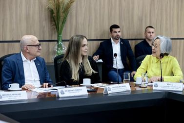 Delega&ccedil;&atilde;o chinesa mira carne sustent&aacute;vel e novos neg&oacute;cios em MT