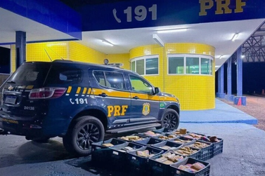 PRF divulga balan&ccedil;o de fiscaliza&ccedil;&atilde;o e criminalidade das &uacute;ltimas 24 horas em Mato Grosso