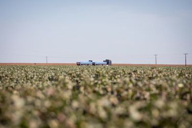 Queda das commodities e alta das d&iacute;vidas colocam produtores rurais &agrave; prova no Centro-Oeste
