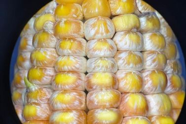 Funda&ccedil;&atilde;o Rio Verde orienta produtores no combate &agrave;s doen&ccedil;as do milho