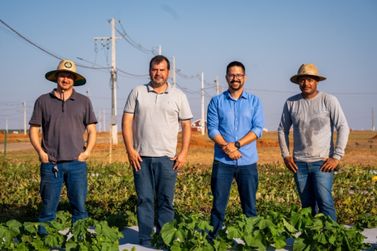 Campo experimental da Agricultura prepara tecnologias para o Show Safra 2027