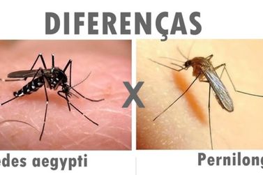 Minas Gerais registrou um aumento de 41% nos casos de dengue em 2024