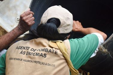 Minas já registra 7 mortes pela Dengue