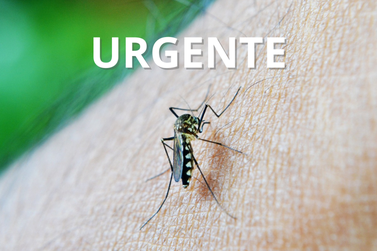 URGENTE: Situação de emergência devido ao aumento dos casos de dengue
