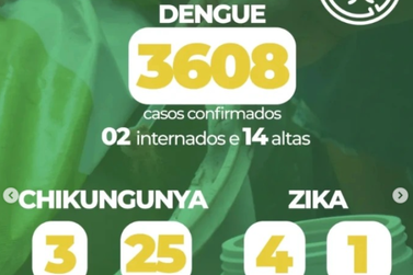 Casos de Dengue já ultrapassam 3500 registros só em 2024