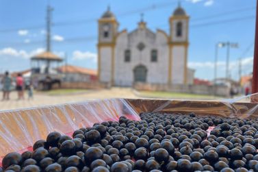 Confira a programa&ccedil;&atilde;o completa da 32&ordf; Festa da Jabuticaba