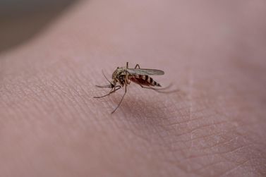 🚫 🦟 Mutir&atilde;o contra a dengue em Mariana!