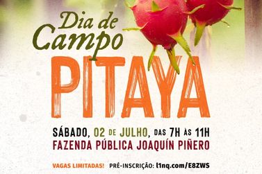 Maricá terá evento gratuito sobre o cultivo da Pitaya