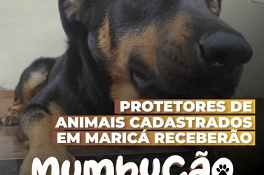 Conheça o programa de apoio a protetores e adotantes de cães e gatos em Maricá 