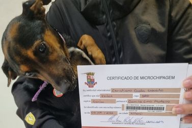 Niterói cria iniciativa de combate ao abandono e desaparecimento de pets em 2022