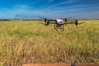 Usina da Regi&atilde;o adota uso de drones para libera&ccedil;&atilde;o de agentes biol&oacute;gicos
