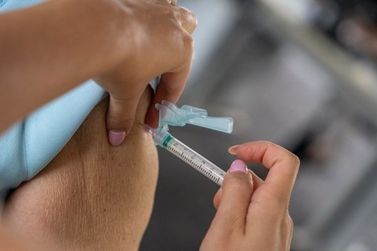 Mirassol ser&aacute; o primeiro munic&iacute;pio do pa&iacute;s a aplicar vacina contra chikungunya