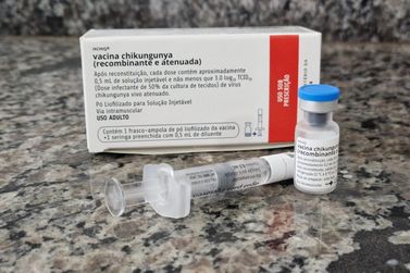 Vacina contra chikungunya chega a Mirassol; veja quem pode se vacinar e hor&aacute;rios