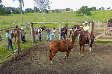 Sindicato Rural abre tr&ecirc;s cursos gratuitos para produtores rurais em Mirassol