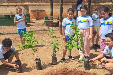 Escola Bartyra transforma sustentabilidade em rotina de alunos em Mirassol