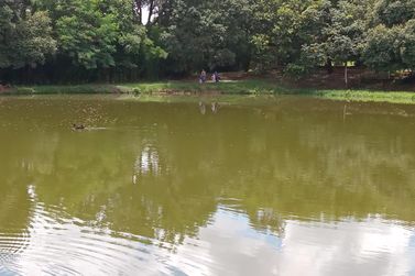 Ch&aacute;cara &agrave; venda - 98m&sup2; - Centro