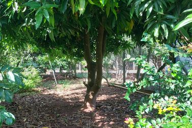 Ch&aacute;cara &agrave; venda - 600m&sup2; - Corrego do lim&atilde;o 