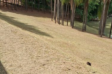 S&iacute;tio &agrave; venda - 200m&sup2; - Centro
