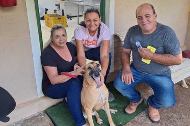 Bem-Estar Animal promove campanha de cuidados e conscientização no município