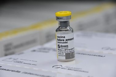 Primeiro caso humano de febre amarela em 2025 &eacute; registrado em Socorro