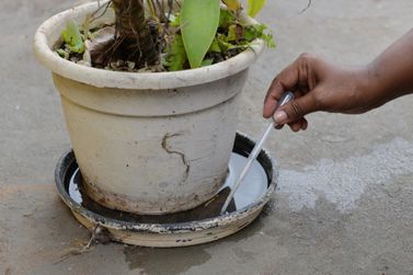 Mogi Mirim registra 154 casos de dengue e mant&eacute;m queda em 2026